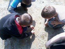 oddílová schůzka 29.5.2014